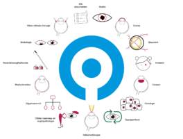 Mogelijkheid tot commentaar op de conceptrichtlijn Infectieuze keratitis – reageren kan tot uiterlijk 5 april 2024🔒  <i class='fa fa-lock'></i>